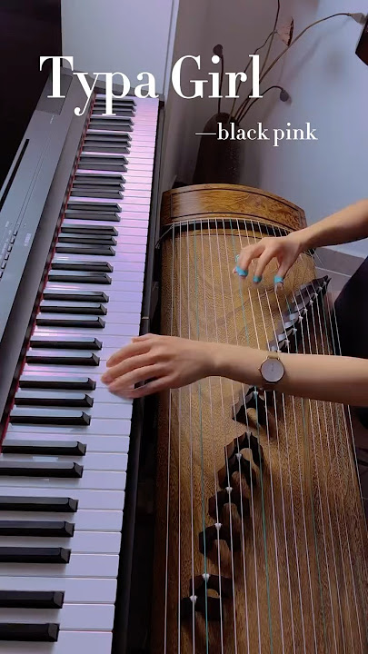 Typa Girl-black pink#public #music #guzheng #blackpink #asmr