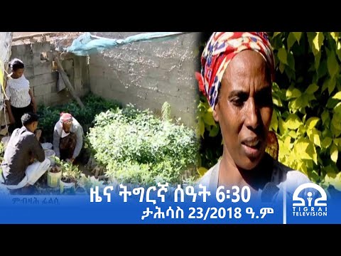 ዜና ትግርኛ ቀትሪ ሰዓት 6 30 ታሕሳስ 23 2018 ዓ ም Tigrai Television ቴሌቪዥን ትግራይ 