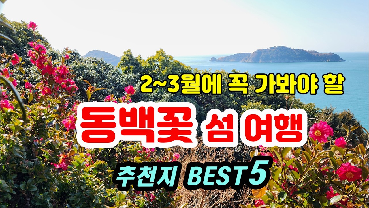 동백꽃이 절정이다~!! 2~3월 꼭 가봐야 하는 동백꽃 섬여행 추천지 BEST5.