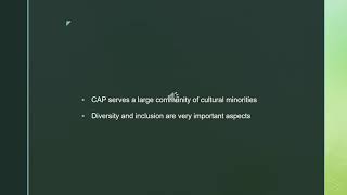 diversity audit 5 final