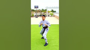 😱 Shaolin Kung Fu Pao Quan Demonstration 💥1 #炮拳 #少林功夫 #拳法 表演 示範 Cannon Fist Performance show #shorts