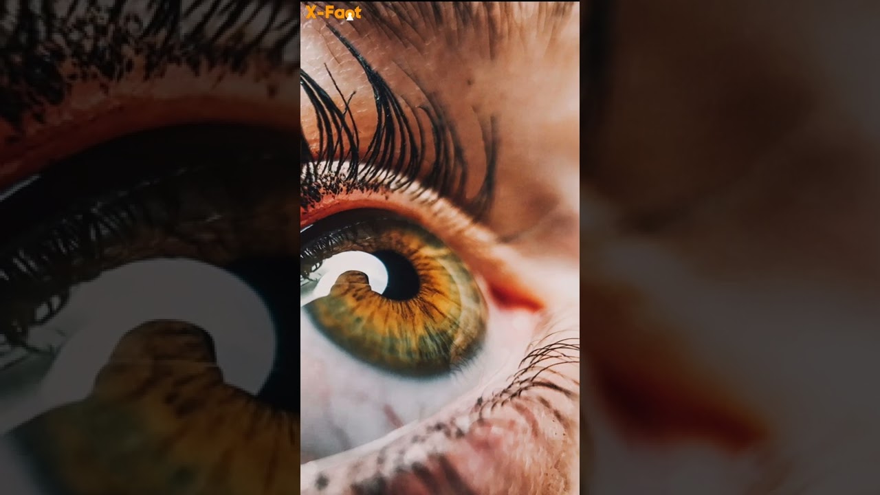 Top Mind Blowing Fact | Amazing Mind blowing facts | 