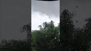 Heavy rain sound #asmr #nature #lifeisbutadream #rain #rainsounds