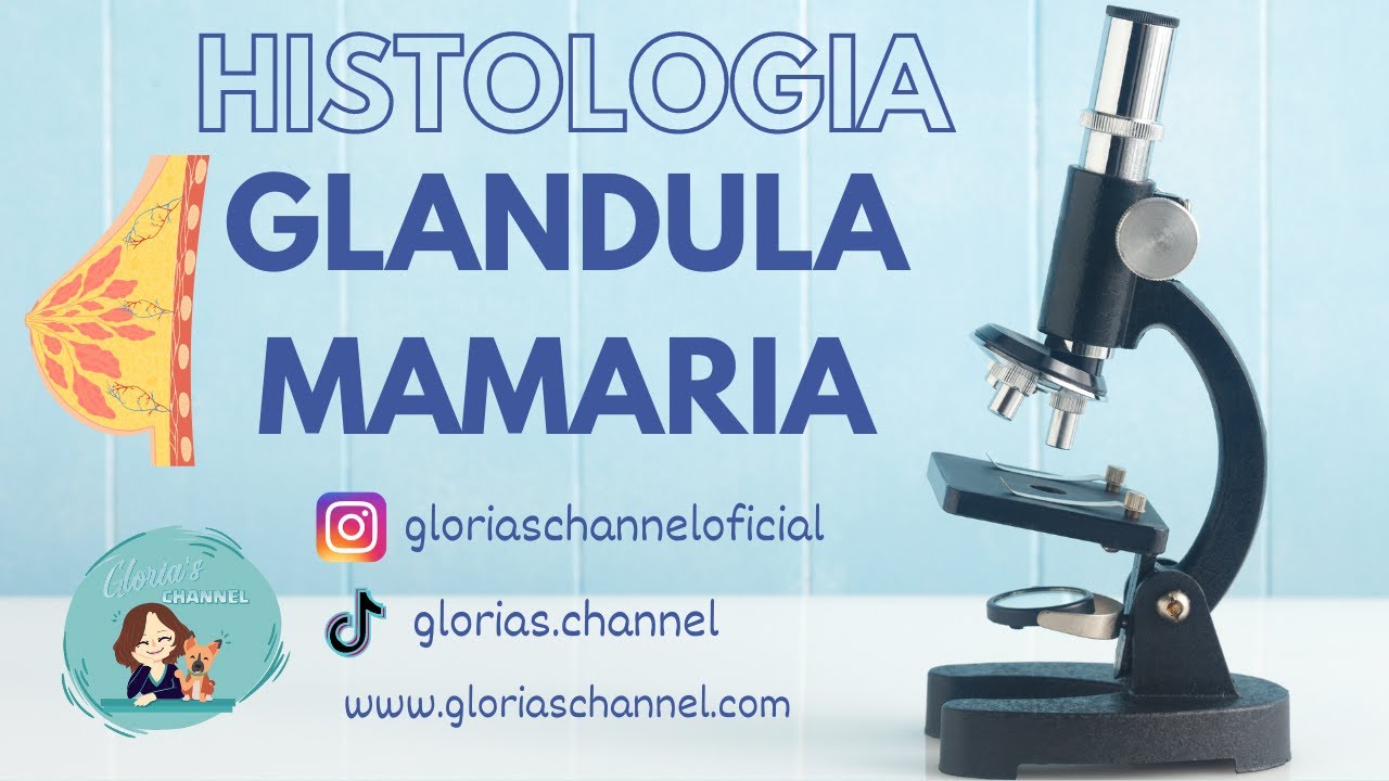 Histología para Medicina: Glándula mamaria