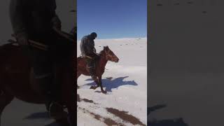 Ratvan atlar hors #rek