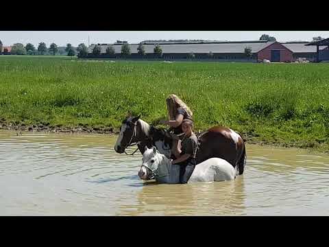 11.05.18 Nr1 Luana mit den Pferden im Teich mit Julina!