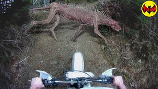 Scary Things Caught on Camera in the Appalachian Mountains That No One Can Explain.
