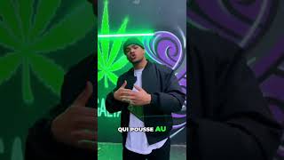 Quand le flow devient une revendication 🔥