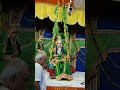 हरियाली तीज मोहत्सव । Haryali Teej Mohatsav । Radha Krishna Julan Short Video #raslila Mahdev Tv