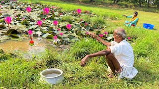 Fishing Video || Grandpa Showed Everyone How To Catch Fish In A Lotus Pond || Amazing Hook Fishing