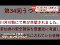 釣り人騒然　防波堤の近くにクマ出没　周辺で目撃情報相次ぐ（2026年04月29日）