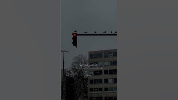 من سورة الكهف بصوتي|السورة كاملة على قناتي | #عمان #اكسبلور #القرآن_الكريم #لايك #تلاوة_خاشعة #قرآن