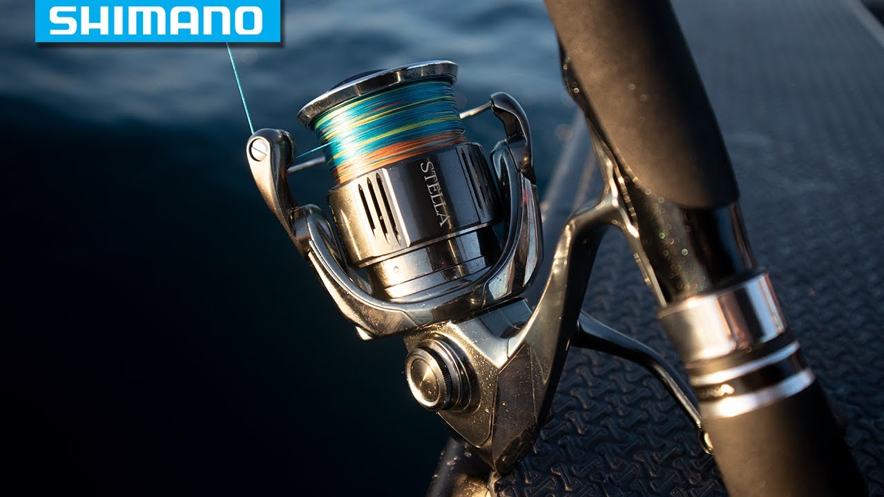 Shimano Stella FK 2500S (STL2500SFK) - kupić kołowrotek