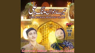 Diwani Mastani - Hub E Zehra