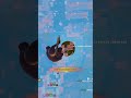 When Fortnite doesn't make any sense... 💀