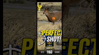 6 matches @ $5  a game on Big Buck Hunter Marksman - Skillz Game