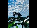 #নীরব_ছোঁয়া #সাদাআকাশ #SilentSkyMood #foryou #viral