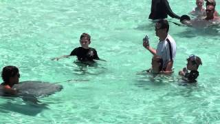 Stingray City 2011 8.m2ts