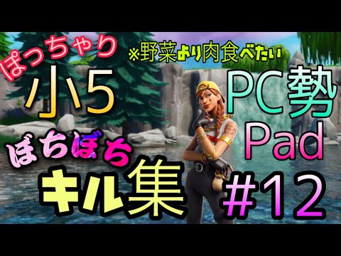 【ベノム】小5 PC勢【フォートナイト 】【キル集】 毎日日記パート12