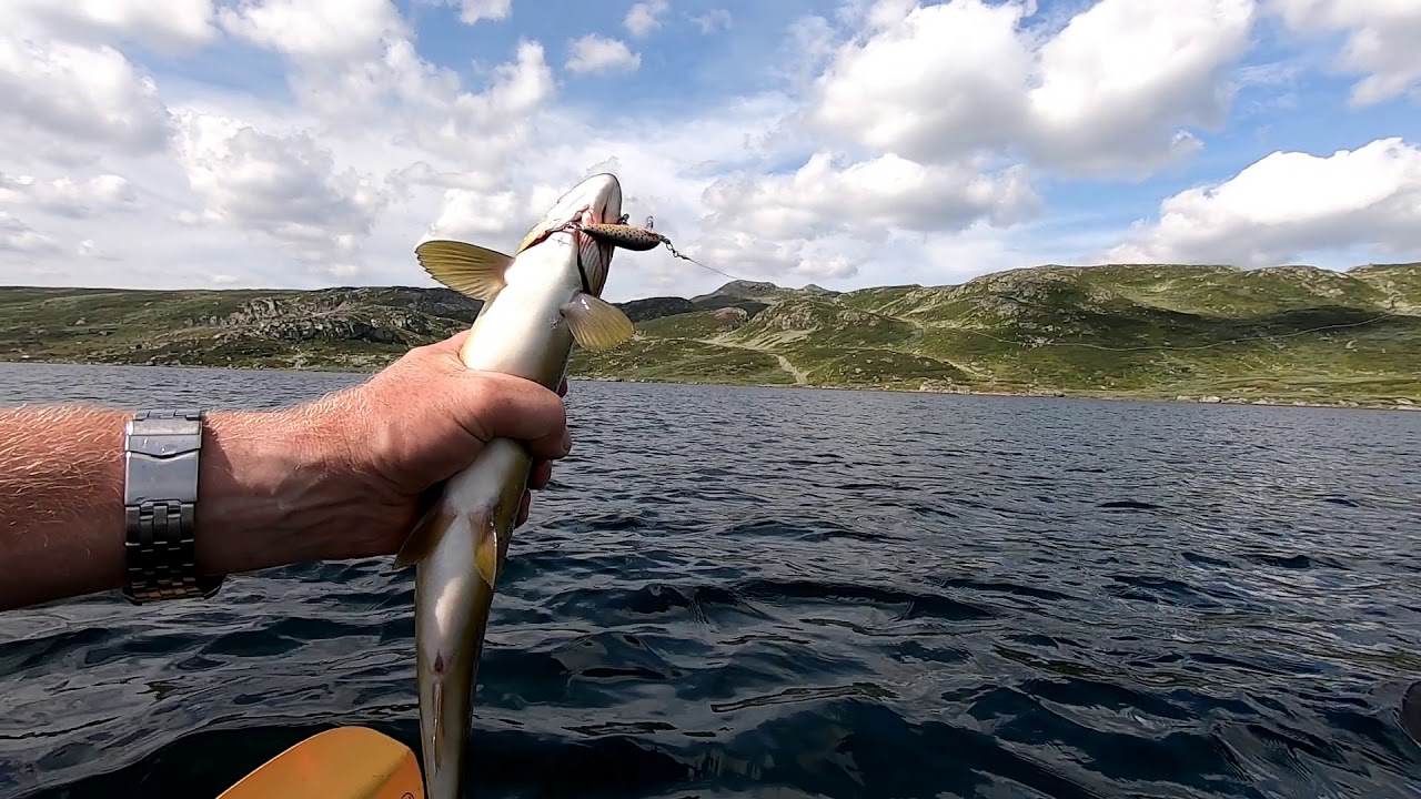 Kvennavassdraget 2019