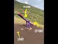 First Order Lever in Kinesiology 🏔️