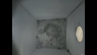 Nestbox 20180821/12:00 - 20 frames with movement