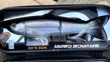 The Scandal by Savage Gear!