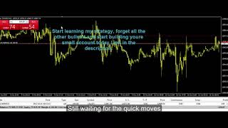 #76 daily trading profits i turned 769,94 USD into 75278,25 USD