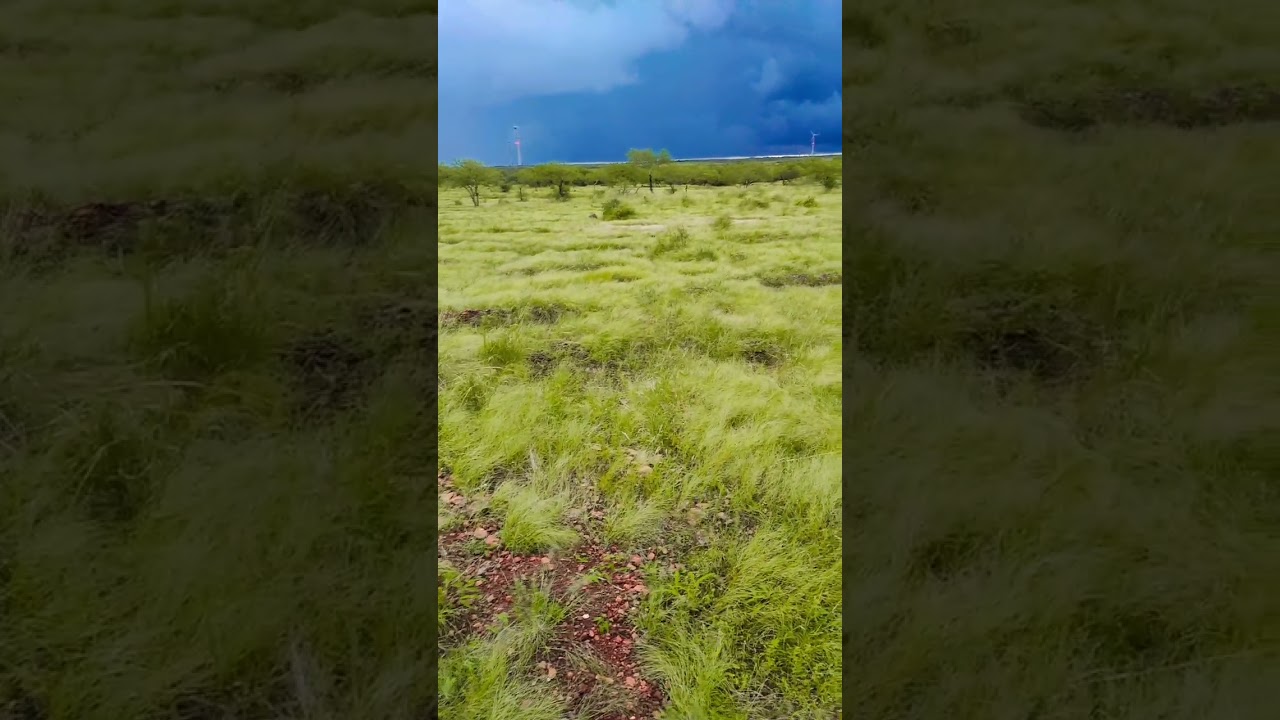 🙏 jay murlidhar 🙏