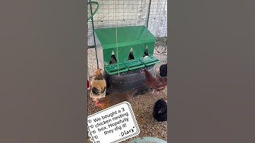 We got a 3 chicken nesting box #nestingbox #chickens #homestead
