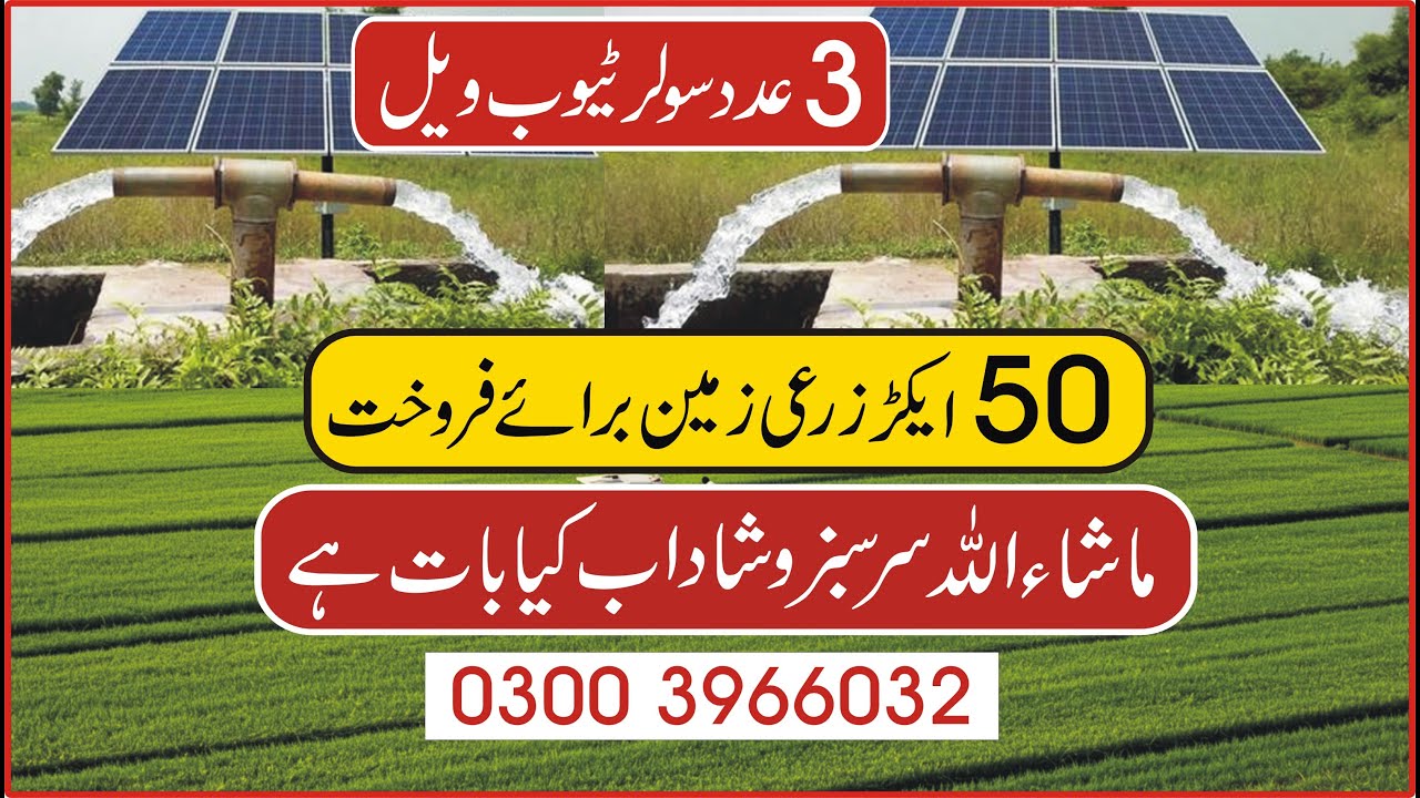 زرعی زمین 50 ایکڑ  Agricultureland for sale | Thalland for sale Land for sale CheapLand for sale