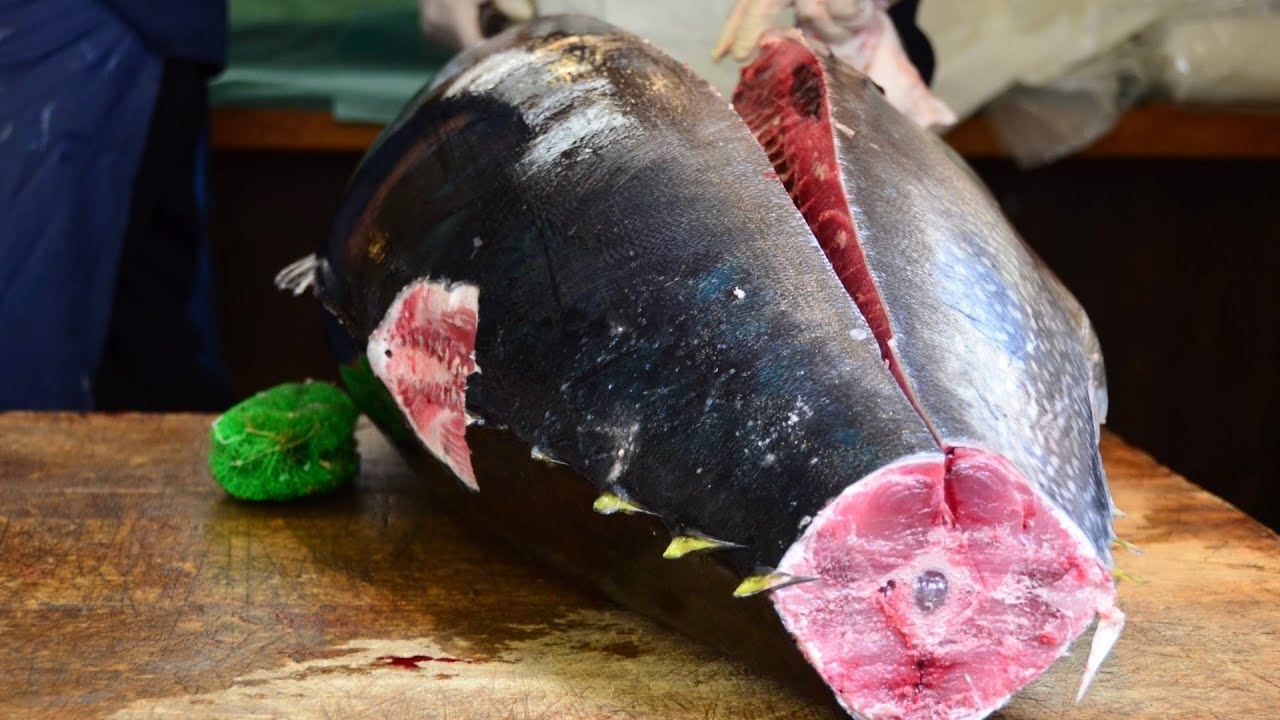 Japanese Food GIANT Bluefin Tuna Cutting show Tokyo Japan YouTube