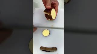 Download Lagu IMD 66606078299711mini  rotary tillage and ridging all-in one short view #travel#beach #flowers MP3