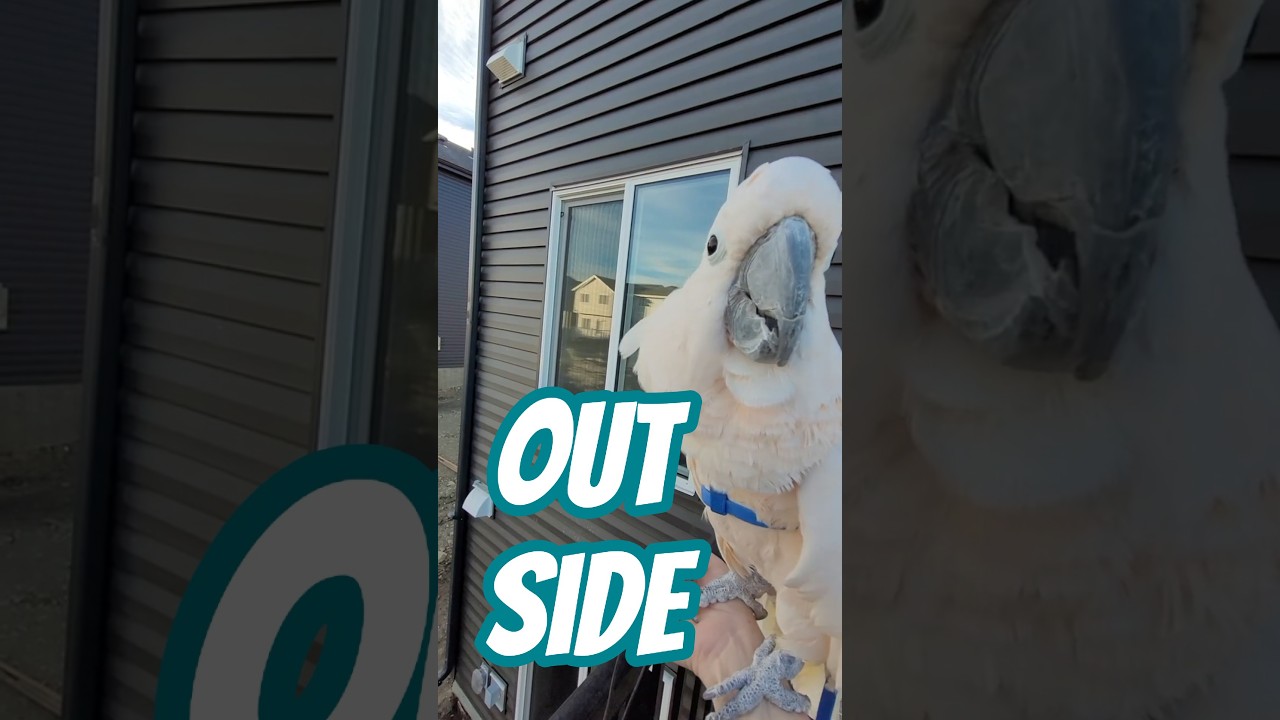 Прекрасный день для свежего воздуха! 