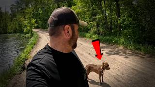 Celebrity 5 Most Disturbing Trail Encounters Caught On Camera Net Worth
