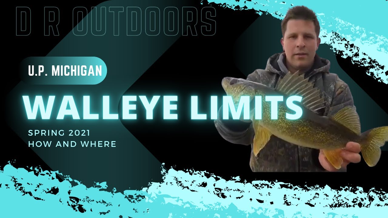 Incredible Walleye Weekend in U.P. Michigan (Daily Limits) YouTube