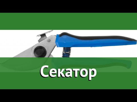 Секатор (СИБИН) обзор 40200 бренд СИБИН производитель Сибин ООО (Россия)
