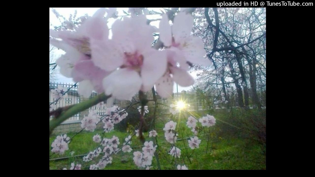 (free) nine vicious x sk8star x 1300saint x babyxsosa type beat - 