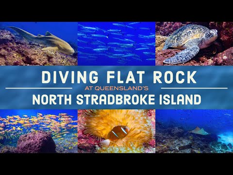 Scuba Diving at Flat Rock, NORTH STRADBROKE (epic visibility)