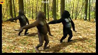 Celebrity Ego- The crazy Things. We Do Dancing Gorillas Videos #gorillatag #gorilladance Wealth