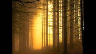 Drive Bendy And Boris