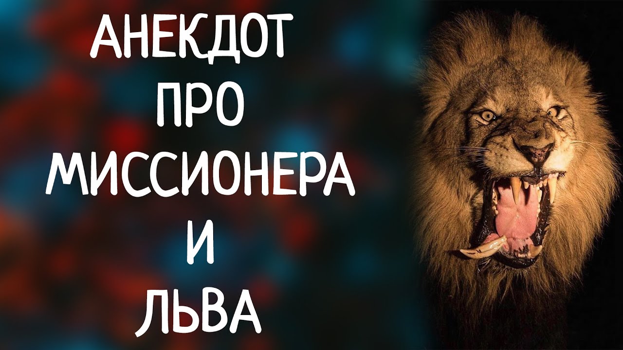 Шутки про льва. Шутки про Леву. Лев прикол