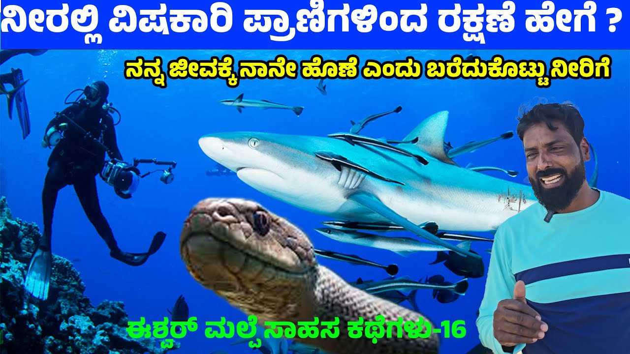 ನೀರಲ್ಲಿ ವಿಷಕಾರಿ ಜಲಚರಗಳಿಂದ ರಕ್ಷಣೆ ಹೇಗೆ ? ನನ್ನ ಜೀವಕ್ಕೆ ನಾನೇ ಹೊಣೆ - Digital Maadhyama- ESHWAR MALPE -16