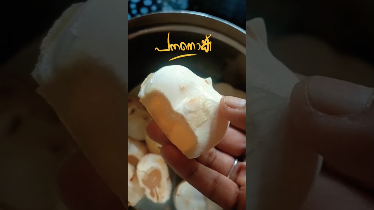 പനനൊങ്ക്  / Ice apple. # palm fruit 