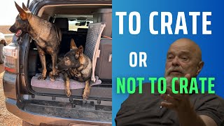 Crate Your Dog  YES or NO