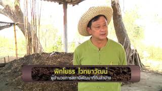 รายการ คนไทยหัวใจเกษตร วันที่ 31 มีนาคม 2559  B3