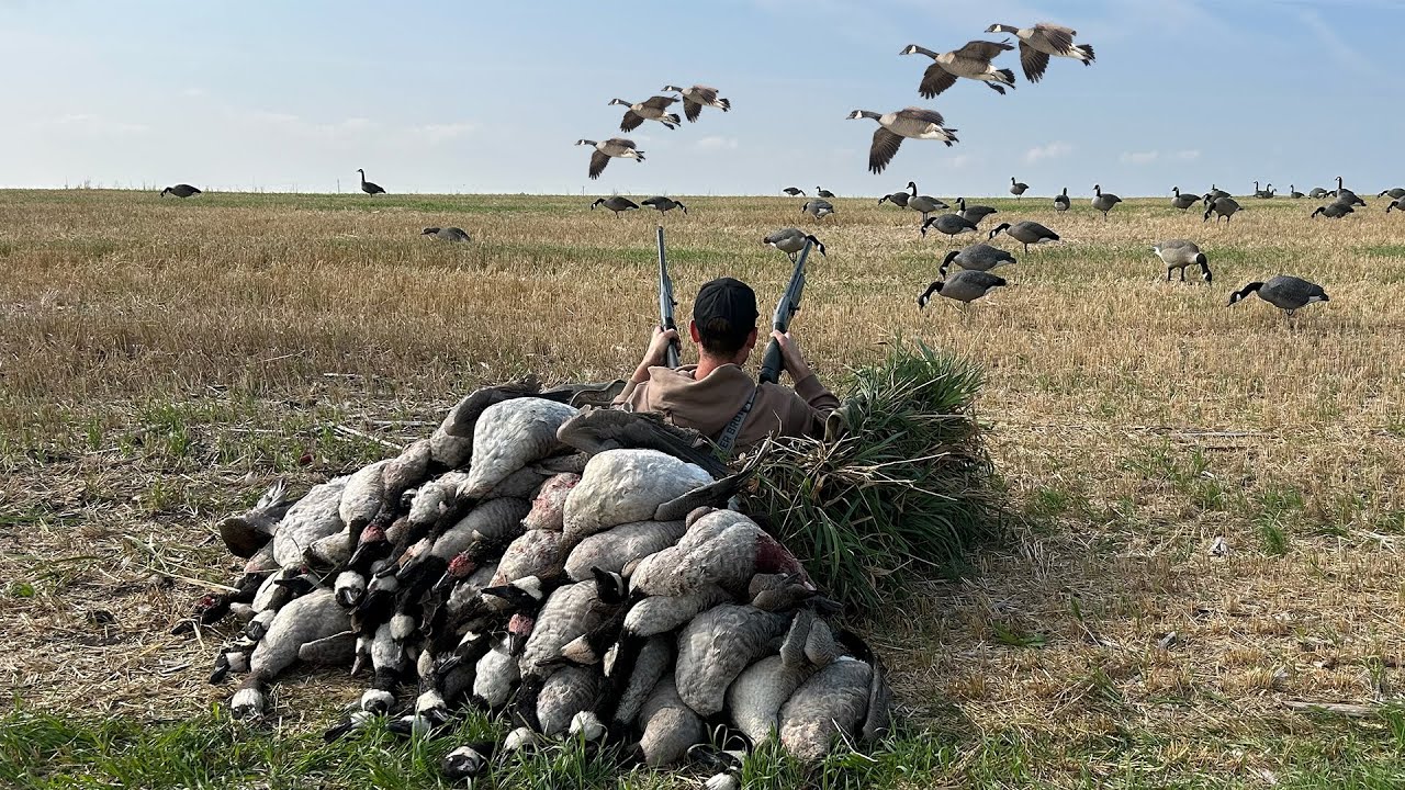 Epic Early Season Goose Hunt! (DECOY GIVEAWAY)
