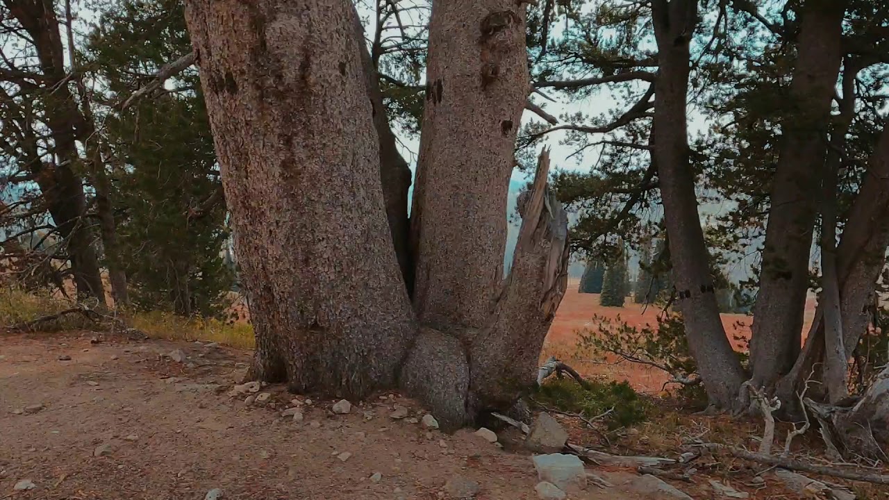 UTV Trip to the Trinity Mountains