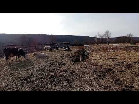 Как заработать в