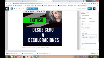 Como DUPLICAR una página o una entrada en WordPress